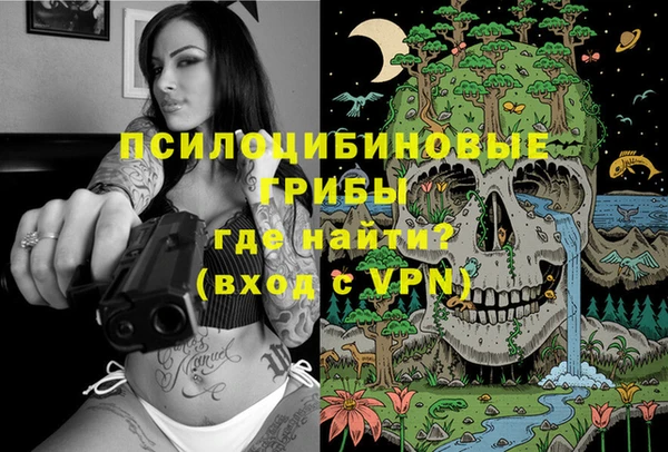 спиды Алексеевка